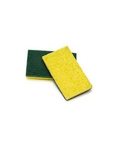 XL Sponge With Green Scourer